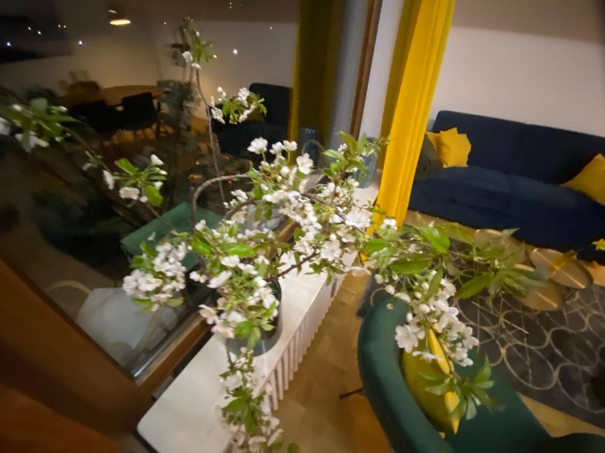 Ferienwohnung Panoramablick - Alpenmagie Suites Oberaudorf Eksteriør billede